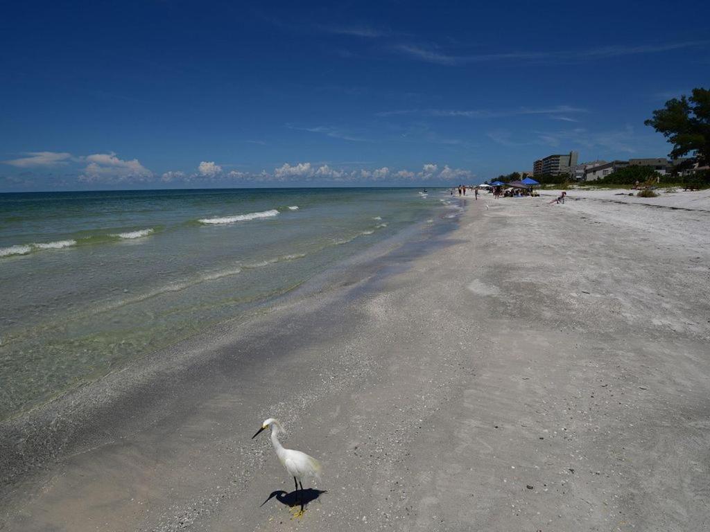 Gulf Retreat 2: Magnificent Water Views, Steps To Beach, None Cleaner, None Nicer! Clearwater Beach Luaran gambar